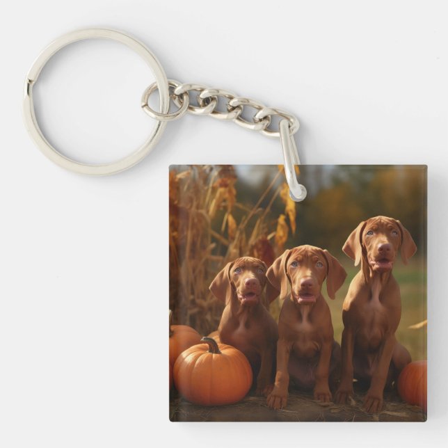 Vizsla Puppy Autumn Delight Pumpkin Schlüsselanhänger (Vorderseite)