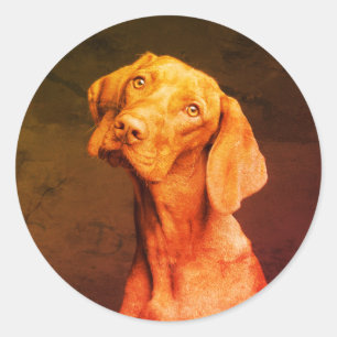 Vizsla Runder Aufkleber