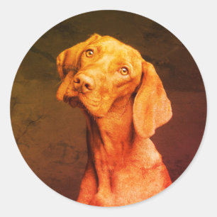 Vizsla Runder Aufkleber