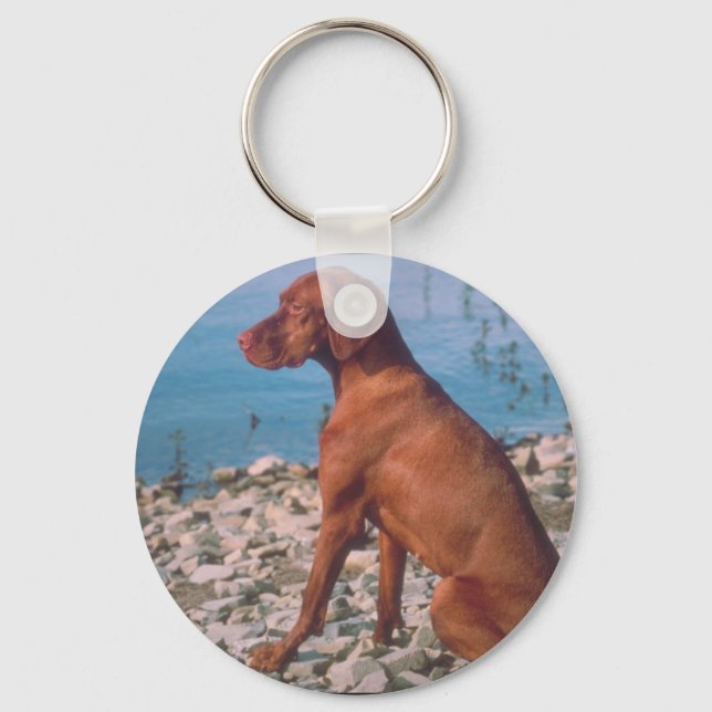 Vizsla Schlüsselanhänger (Vorderseite)