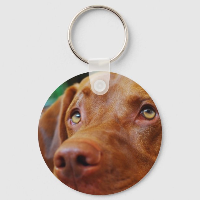 VIZSLA - Schlüsselkette Schlüsselanhänger (Vorderseite)