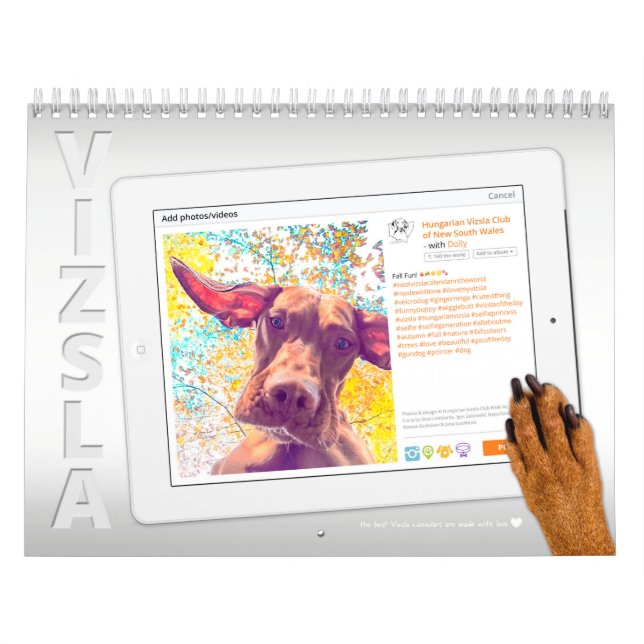 Vizsla Selfie Kalender (Titelbild)