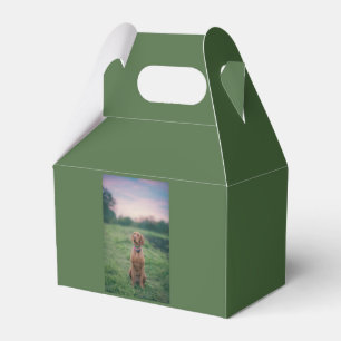Vizsla sitzend geschenkschachtel