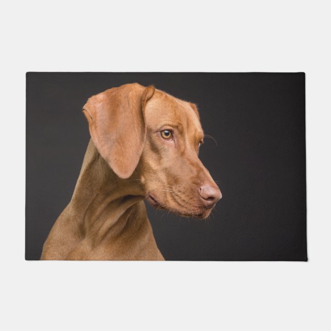 Vizsla Sporting Hund Fußmatte (Vorderseite)