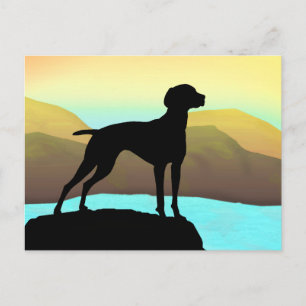 Vizsla-T - Shirt, Bekleidung und Geschenk Postkarte