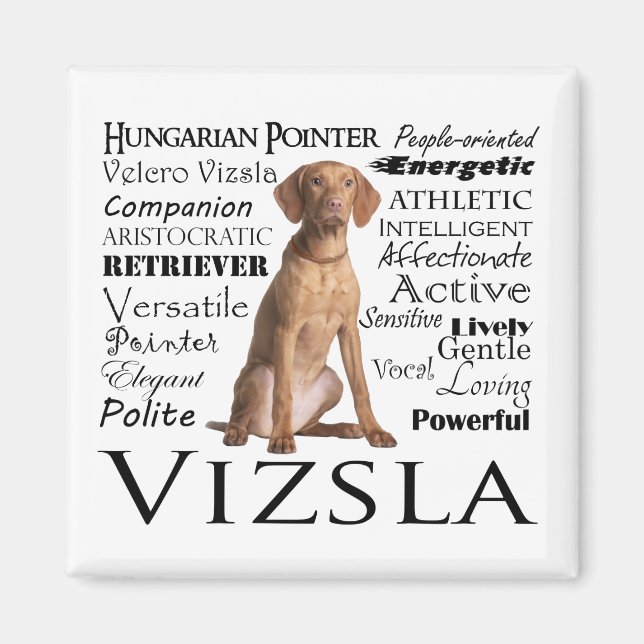 Vizsla Traits Magnet (Vorne)