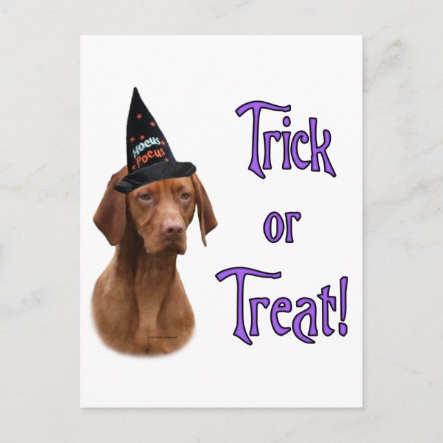 Vizsla Trick Postkarte (Vorderseite)