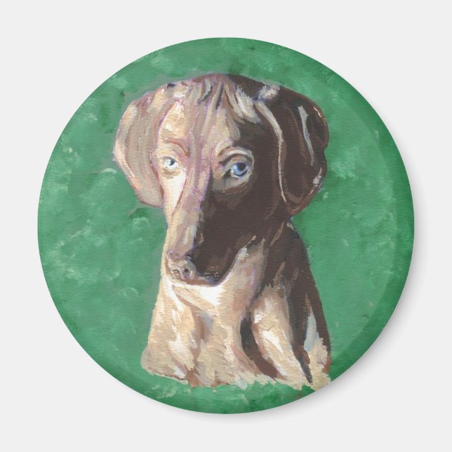 Vizsla, Ungarisch Pointer Magnet (Vorne)