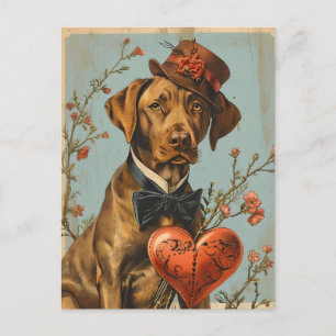 Vizsla Vintag Valentinstag Postkarte