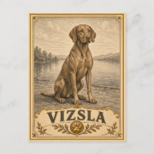 Vizsla, Vintage Heritage Hund