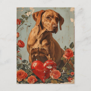 Vizsla Vintage Valentinstag Postkarte