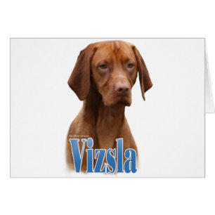 Vizsla; Vizsla Dog Breed; Vizsla dog; Vizsla Breed