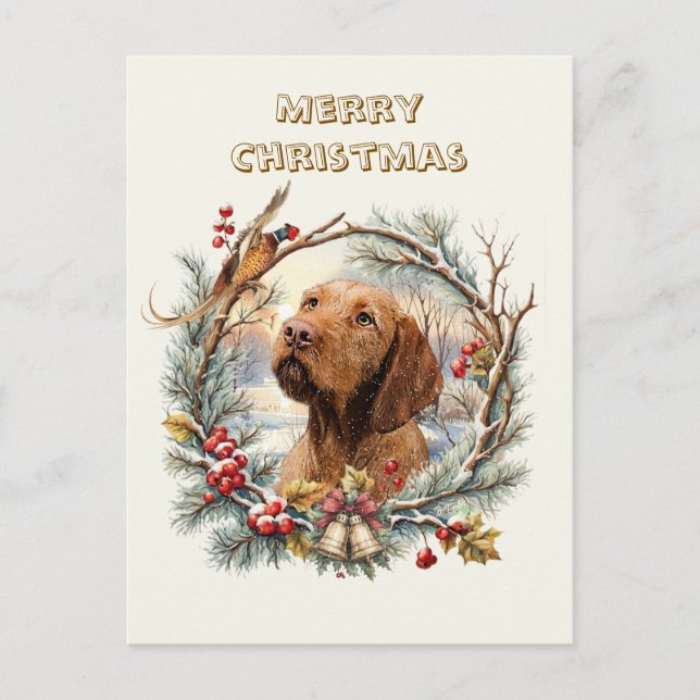 Vizsla Weihnachten  (Vorderseite)