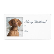 Vizsla Weihnachtsgeschenke Stickers