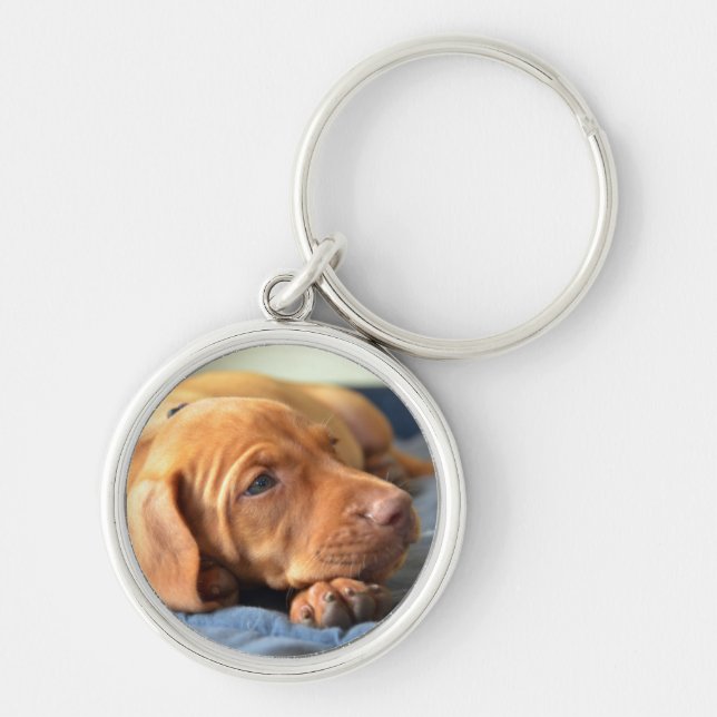 Vizsla Welpe, der auf seiner Tatze stillsteht Schlüsselanhänger (Vorne)