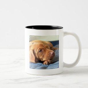 Vizsla Welpe, der auf seiner Tatze stillsteht Zweifarbige Tasse
