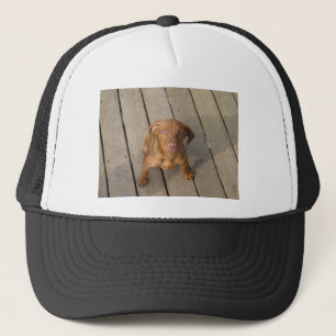 Vizsla Welpe Truckerkappe