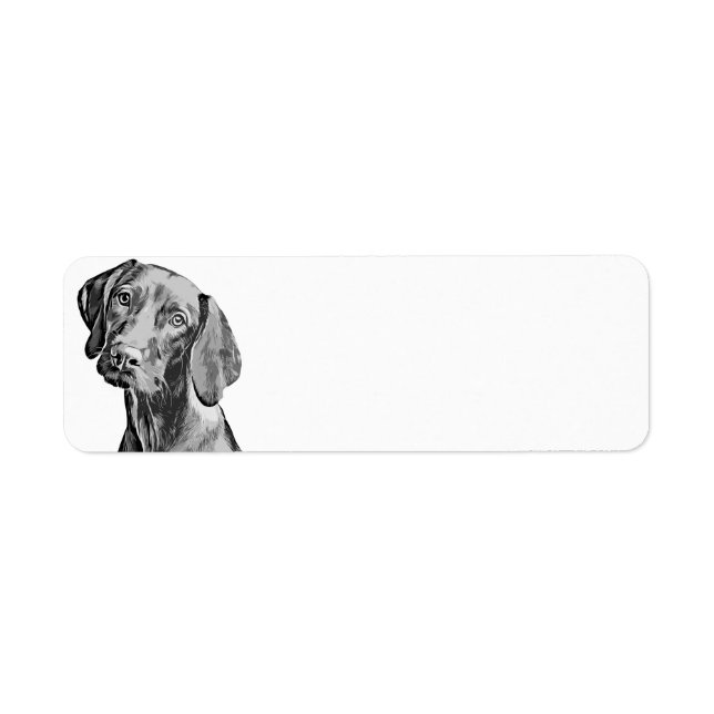 Vizsla Zeichnung (Vorne)