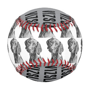 Vizsla-Zeichnung Baseball