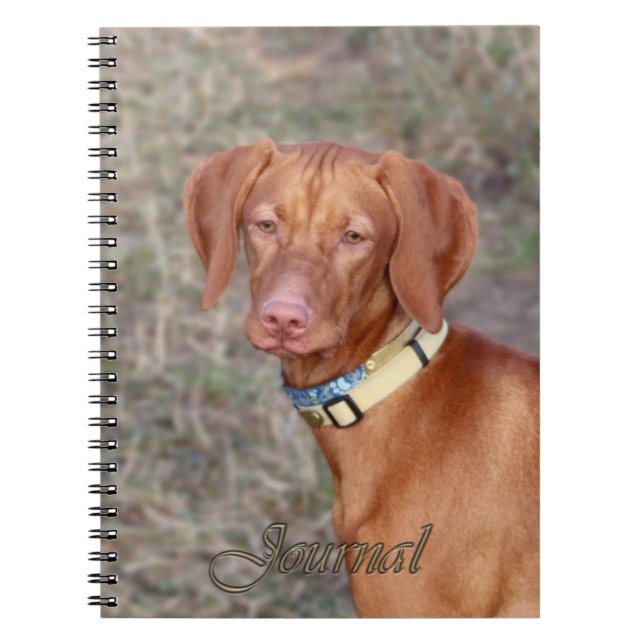 Vizsla Zeitschrift Notizblock (Vorderseite)