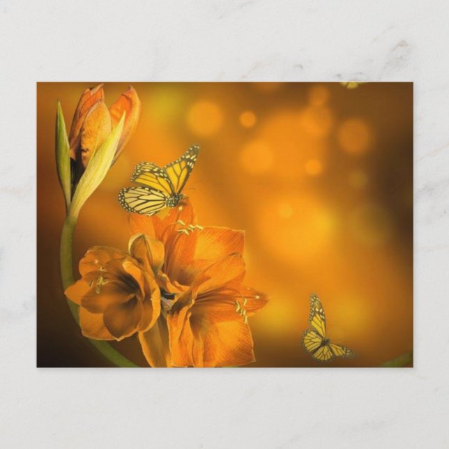 Vlinders oranje postkarte (Vorderseite)