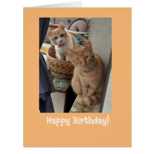Voeux d'anniversaire Ginger Cats