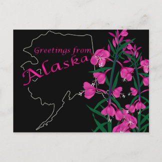 Voeux de l'Alaska carte postale