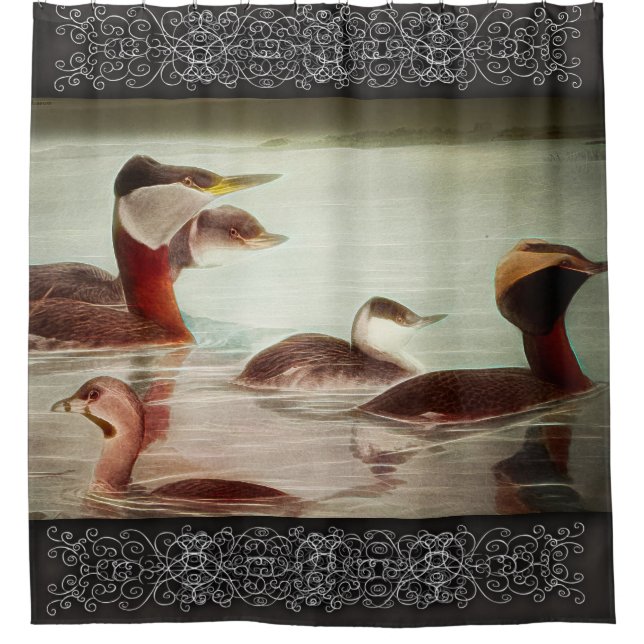 Vögel 1917 Grebes Duschvorhang (Vorderseite)