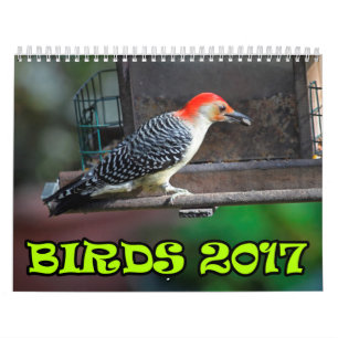 Vögel 2017 kalender
