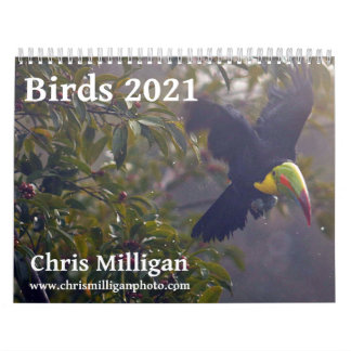 Vögel 2021 Kalender von Chris Milligan