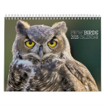 VÖGEL 2025 - PAZIFISCHE VÖGEL IM NORDWESTEN
