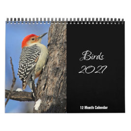 Vögel 2027 Kalender