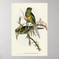 Vögel 2