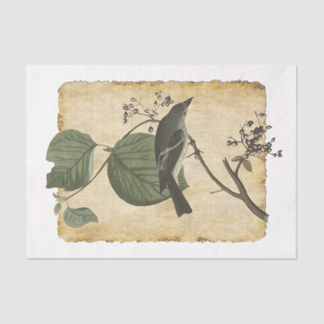 Vogel 33 Dekoupage Tissue Paper Seidenpapier (Vorderseite)