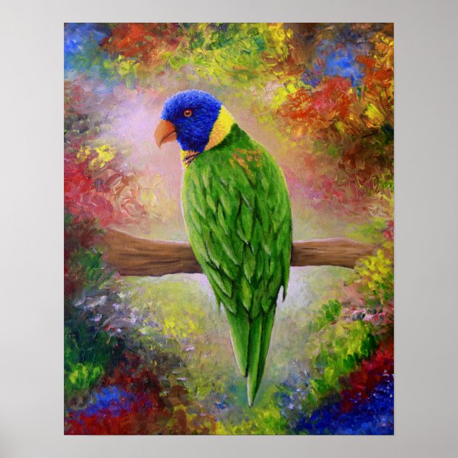 Vogel 76 Multicolorvogel Poster (Vorne)
