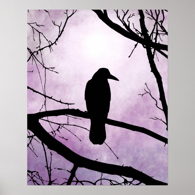 Vogel 78 Crow Raven Poster (Vorne)
