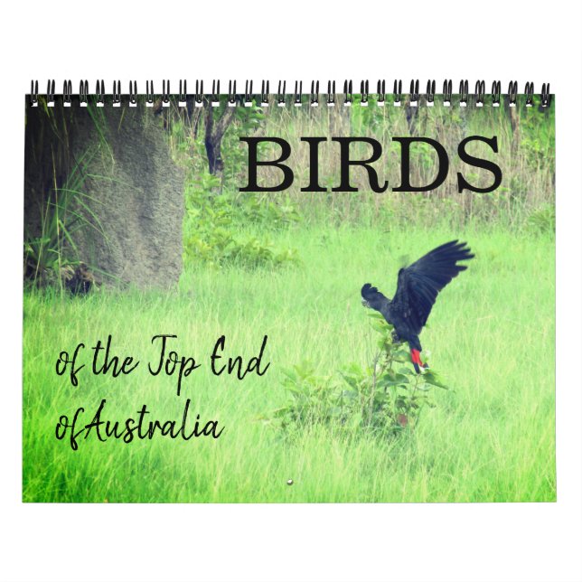 Vögel am oberen Ende 2025 Kalender (Titelbild)