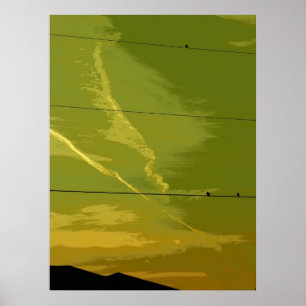 Vögel am Sonnenuntergang Poster