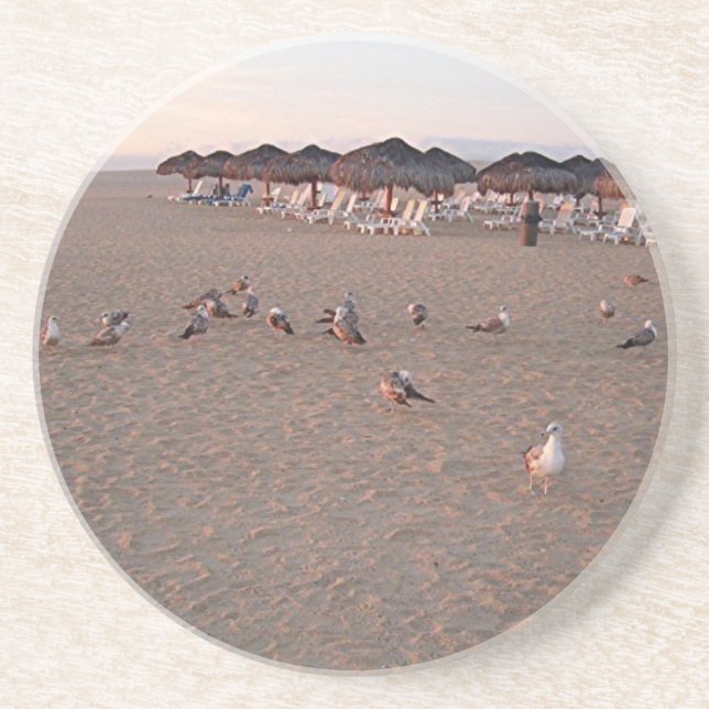 Vögel am Strand in Cabo Untersetzer (Vorne)