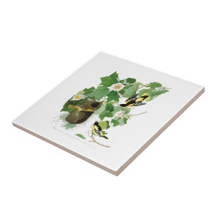 Vögel Amerika Baltimore Orioles John James Audubon Fliese