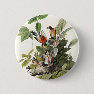 Vögel Amerikas (1827) von John James Audubon Button