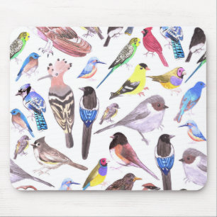 Vögel Amerikas - Heimtiere und Wildvögel Mousepad