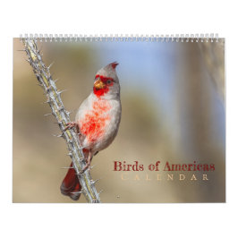 Vögel Amerikas Kalender