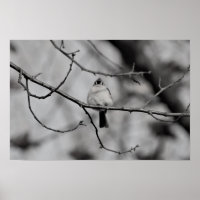 Vogel an einer Zweigstelle