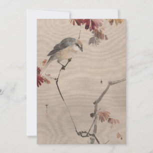 Vogel auf Branch-Watching Spinne   Watanabe Seitei