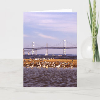 Vögel auf Chesapeake Bay Karte