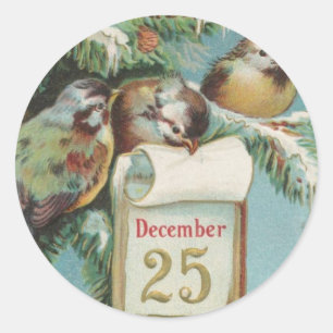 Vögel auf Decemeber 25. Runder Aufkleber
