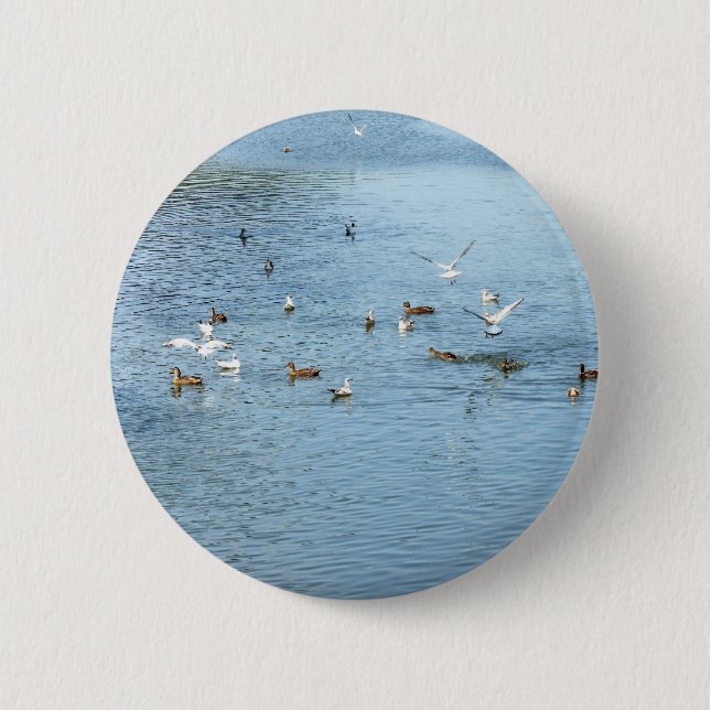 Vögel auf dem Summer River Button (Vorderseite)