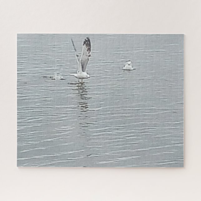 Vögel auf dem Wasser Jigsaw-Puzzle (Horizontal)