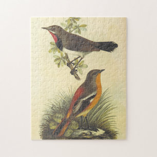Vogel auf dem Zweig, Vogel auf dem Boden-Puzzle